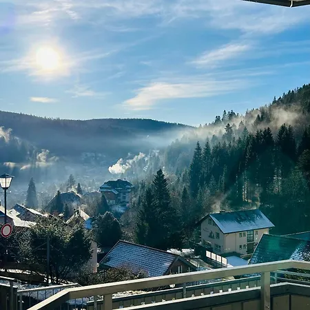 Panoramablick - Super Fuer Deine Familie Und Besten Aussicht In Ganz Apartament Todtmoos