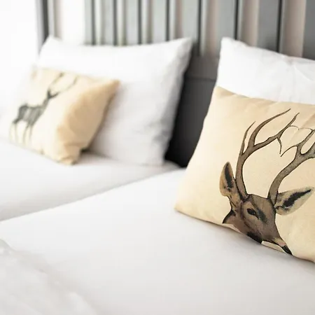 Panoramablick - Super Fuer Deine Familie Und Besten Aussicht In Ganz *