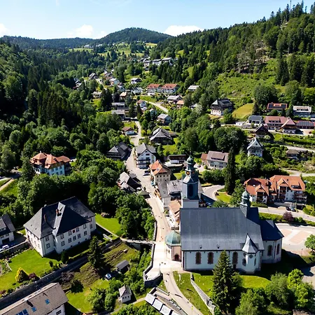 Lejlighed Panoramablick - Super Fuer Deine Familie Und Besten Aussicht In Ganz Todtmoos